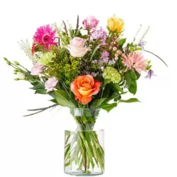 ברוכטרוולד פרחים- מזל טוב פרח משלוח