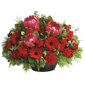 Kaiapoi онлайн магазин за цветя - Авзи Добре дошли Букет