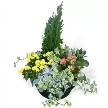 モンペリエ オンライン花屋 - 植物のブレンド時間の庭 花束