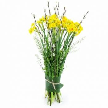 Marseille flowers  -  Solar Daffodil Bunch Flower Delivery