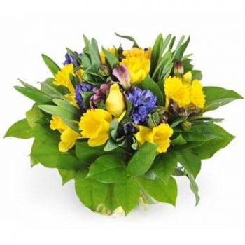 fiorista fiori di Abbeville- Bouquet di fiori di stagione Mamina Fiore Consegna
