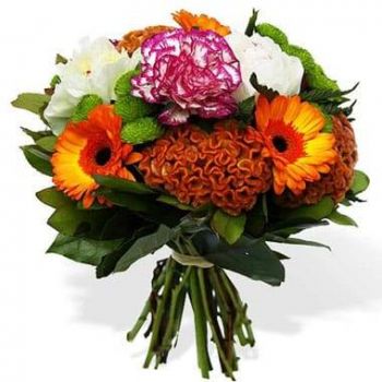 Ομορφη λουλούδια- Μπουκέτο με φρέσκα λουλούδια Darling Λουλούδι Παράδοση