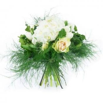 שטרסבורג פרחים- זר פרחים הורטנס פרח משלוח