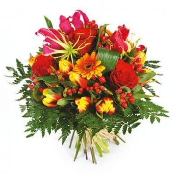 몽펠리에 꽃- 여러 가지 빛깔의 꽃다발 센세이션 꽃 배달