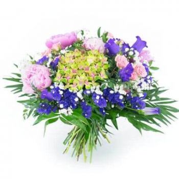 몽펠리에 꽃- 꽃다발 Sloe 꽃 배달