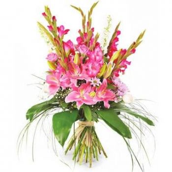 モンペリエ 花- まばゆいばかりのピンクの花の花束 花 配信