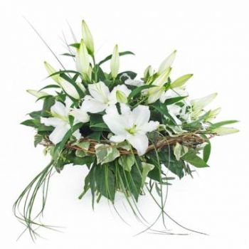 Montpellier rože- Šopek belih lilij Alicante Cvet šopek/dogovor