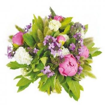 fiorista fiori di Abbeville- Bouquet di peonie rosa Monaco Fiore Consegna