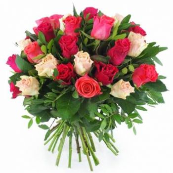 Бордо цветя- Букет от рози Антверпен Цвете Доставка