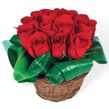 Algajola flowers  -  Bouquet of red roses Brazilia Flower Delivery