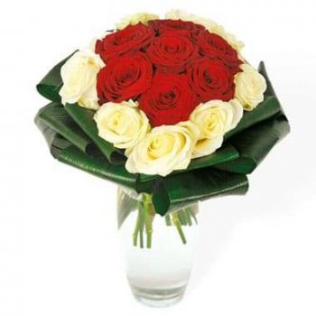 Ομορφη σε απευθείας σύνδεση ανθοκόμο - Μπουκέτο με κόκκινα και λευκά τριαντάφυλλα Co Μπουκέτο