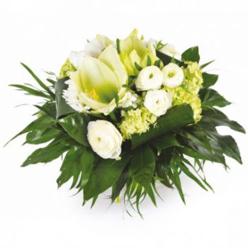 Montpellier flowers  -  Cocoon Seasonal Bouquet Flower Delivery