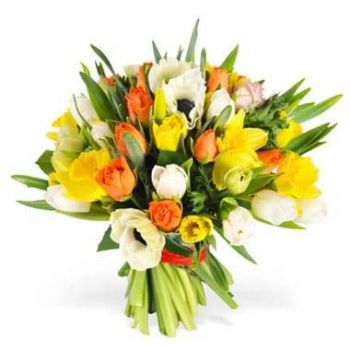 fiorista fiori di Abbeville- Baciami bouquet stagionale Fiore Consegna