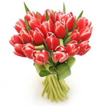 Абевил цветя- Букет от червени лалета Perle Douce Букет/договореност цвете