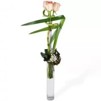 بائع زهور بوردو- باقة خطية من الورود الكونتيسة زهرة التسليم