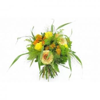 Aignes Blumen Florist- Genua gelb & orange rustikaler runder Blumens Blumen Lieferung