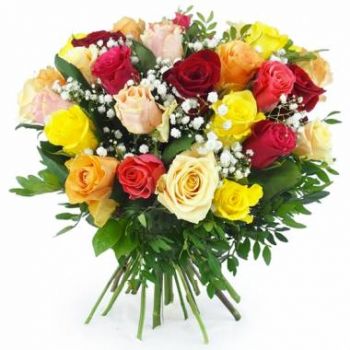 פיטה פרחים- זר עגול צבעוני של ברצלונה פרח משלוח