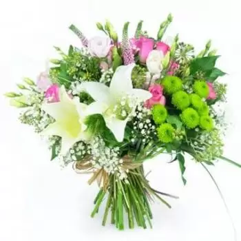 بائع زهور مارتينيك- باقة زهور دائرية من زهرة الزنبق زهرة التسليم