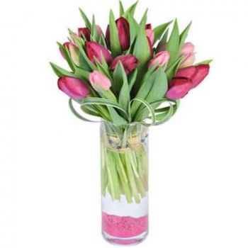 Štrasburk květiny- Kulatá kytice růžových a fialových tulipánů Květ Dodávka