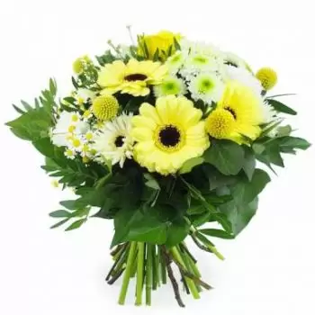 Алинкур цветы- Пражский желто-белый круглый букет Цветок Доставка