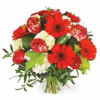 Τουλούζη λουλούδια- Κόκκινη στρογγυλή ανθοδέσμη Σονάτα Λουλούδι Παράδοση
