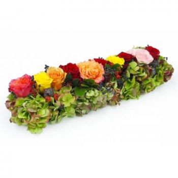 גוואדלופ פרחים- שביל ורדים צבעוניים סוקרטס זר פרחים/סידור פרחים