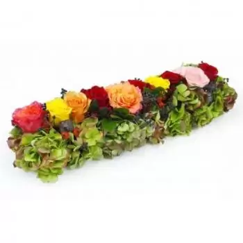 Τουλούζη σε απευθείας σύνδεση ανθοκόμο - Μονοπάτι από χρωματιστά τριαντάφυλλα Σωκράτης Μπουκέτο