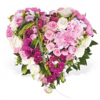 Tarbes cvijeća- Srce iz snova u ružičastom cvijeću Cvijet Isporuke