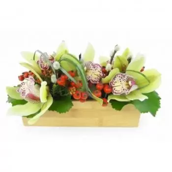 flores París floristeria -  Composición Tumbado Verde Santa Ana 