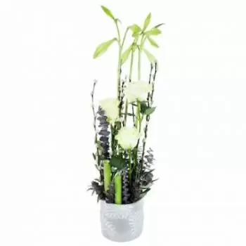 Abergement-le-Petit flowers  -  Philadelphia white & green composition Flower Delivery