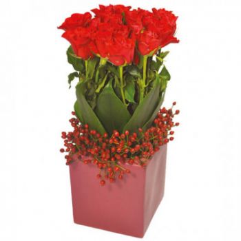 Pau Blumen Florist- Quadratische Komposition aus roten Rosen Blumen Lieferung