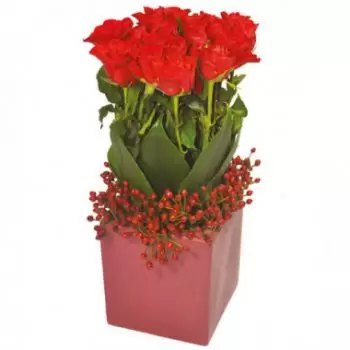Reuniune flori- Compoziție pătrată de trandafiri roșii Floare Livrare