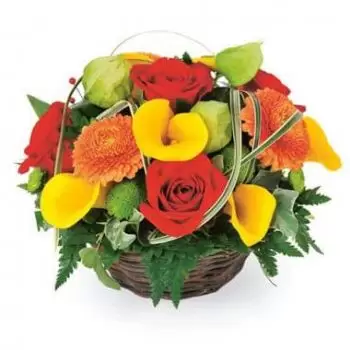 Ahaxe-Alciette-Bascassan flowers  -  Maïa colorful composition Flower Delivery