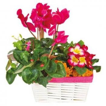 fleuriste fleurs de Agen- Composition de deuil rose-fuchsia Voyage Eter Bouquet/Arrangement floral
