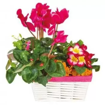 Frankreich Blumen Florist- Trauerkomposition Rose-fuchsia Eternal Journe