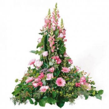 Hyggelig blomster- Rosa stemorsblomster sørgekomposisjon Blomst Levering