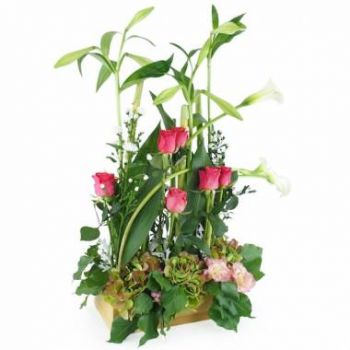 Aiguilhe Blumen Florist- Blumenarrangement rosa & grüner Salvador Blumen Lieferung