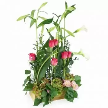 Anse-Bertrand bunga- Rangkaian bunga Salvador pink & hijau Bunga Pengiriman