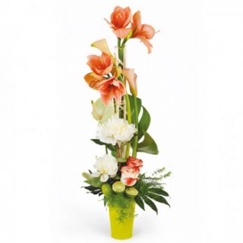 flores de Marselha- Arranjo de flores de alquimia Flor Entrega