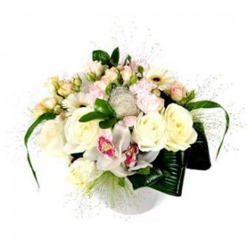 Pau rože- Očarljiv beli cvetlični aranžma Cvet Dostava