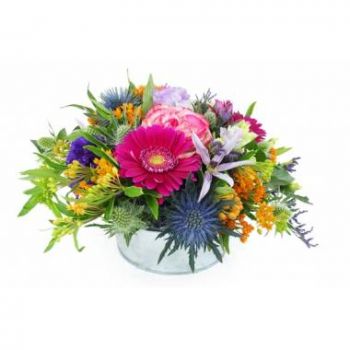 Aldudes Blumen Florist- Cali bunte Blumenzusammensetzung Blumen Lieferung