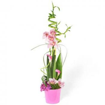 Tarbes цветя- Композиция с флорално изобилие Цвете Доставка