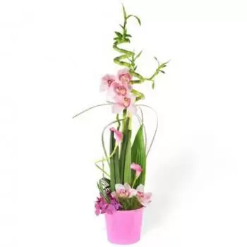 Tina Blumen Florist- Komposition mit floralem Überschwang Blumen Lieferung