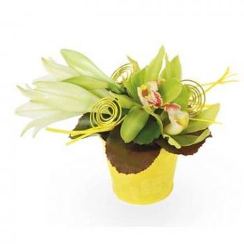 fiorista fiori di Lille- Composizione floreale Gaité Fiore Consegna
