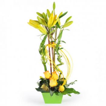 flores de Lille- Composição de flores amarelas Sonho de Lírio Flor Entrega