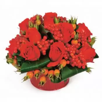 Μπορντό λουλούδια- Σύνθεση από κόκκινα λουλούδια Μάλαγα 