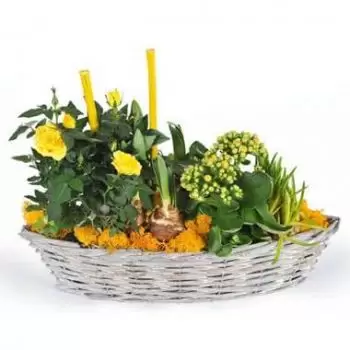 ボルドー 花- 植物の組成花屋をエタミン 花束/フラワーアレンジメント