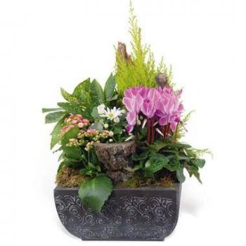 Lille online Florist - Composition of plants for infinite mourning Bouquet