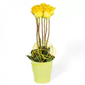 Τουλούζη λουλούδια- Σύνθεση κίτρινα τριαντάφυλλα κρίνου Μπουκέτο/ρύθμιση λουλουδιών
