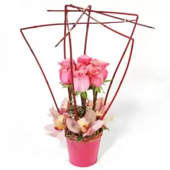 Ансе-Вата цветы- Композиция из роз Lady Rose Цветок Доставка